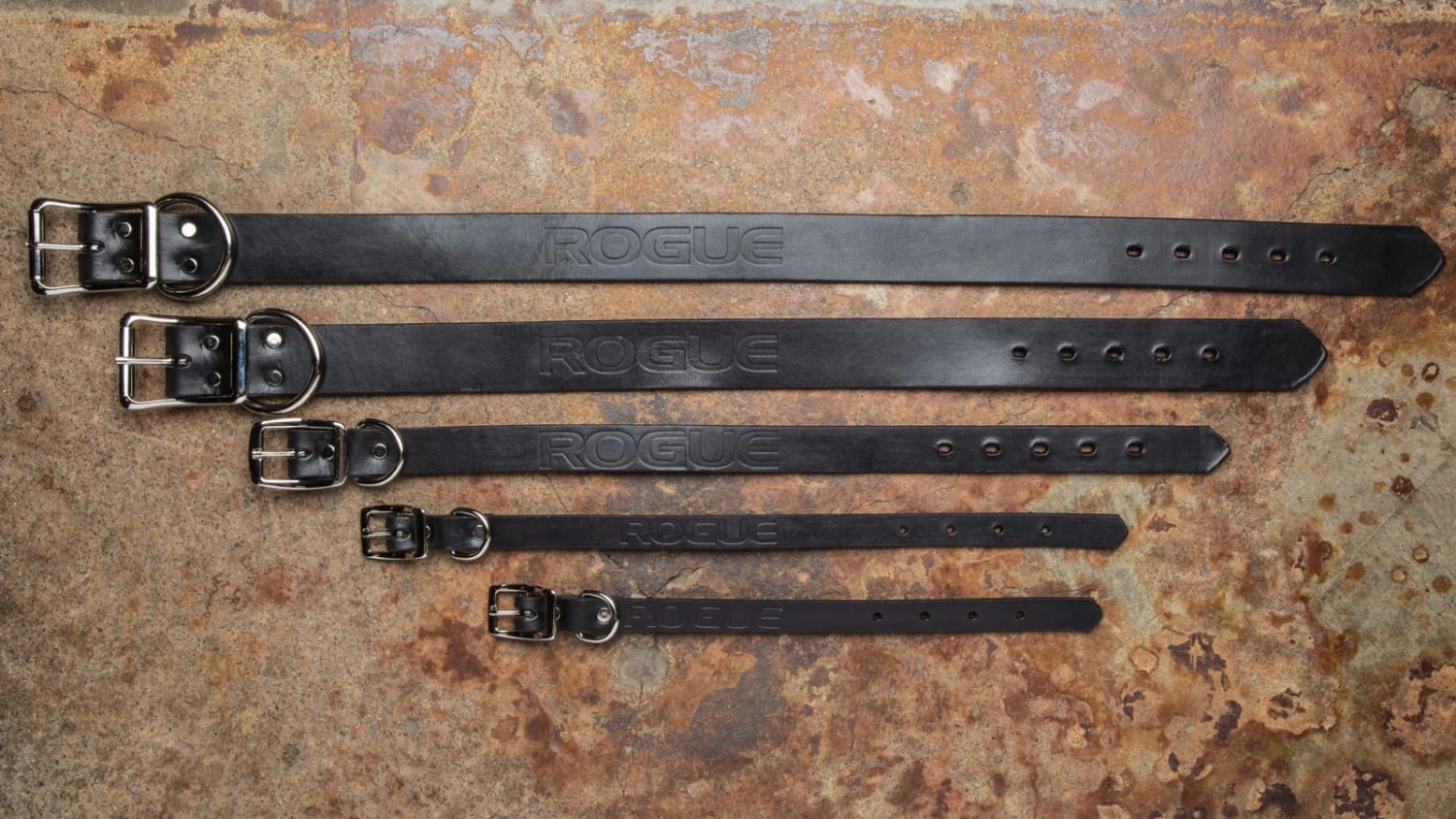 Cheapest ๐คฉ Rogue Leather ๐ Dog Collar ๐ฏ 4 Cheapest ๐คฉ Rogue Leather ๐ Dog Collar ๐ฏ - Image 2