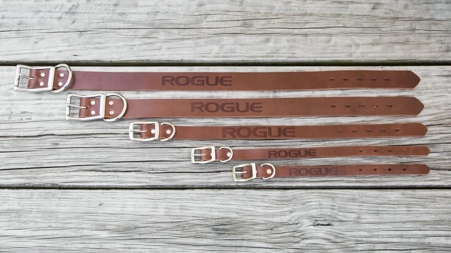 Cheapest ๐คฉ Rogue Leather ๐ Dog Collar ๐ฏ 5 Cheapest ๐คฉ Rogue Leather ๐ Dog Collar ๐ฏ - Image 3