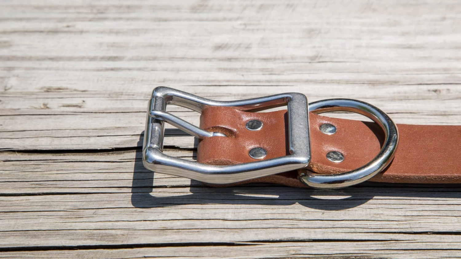 Cheapest ๐คฉ Rogue Leather ๐ Dog Collar ๐ฏ 6 Cheapest ๐คฉ Rogue Leather ๐ Dog Collar ๐ฏ - Image 4