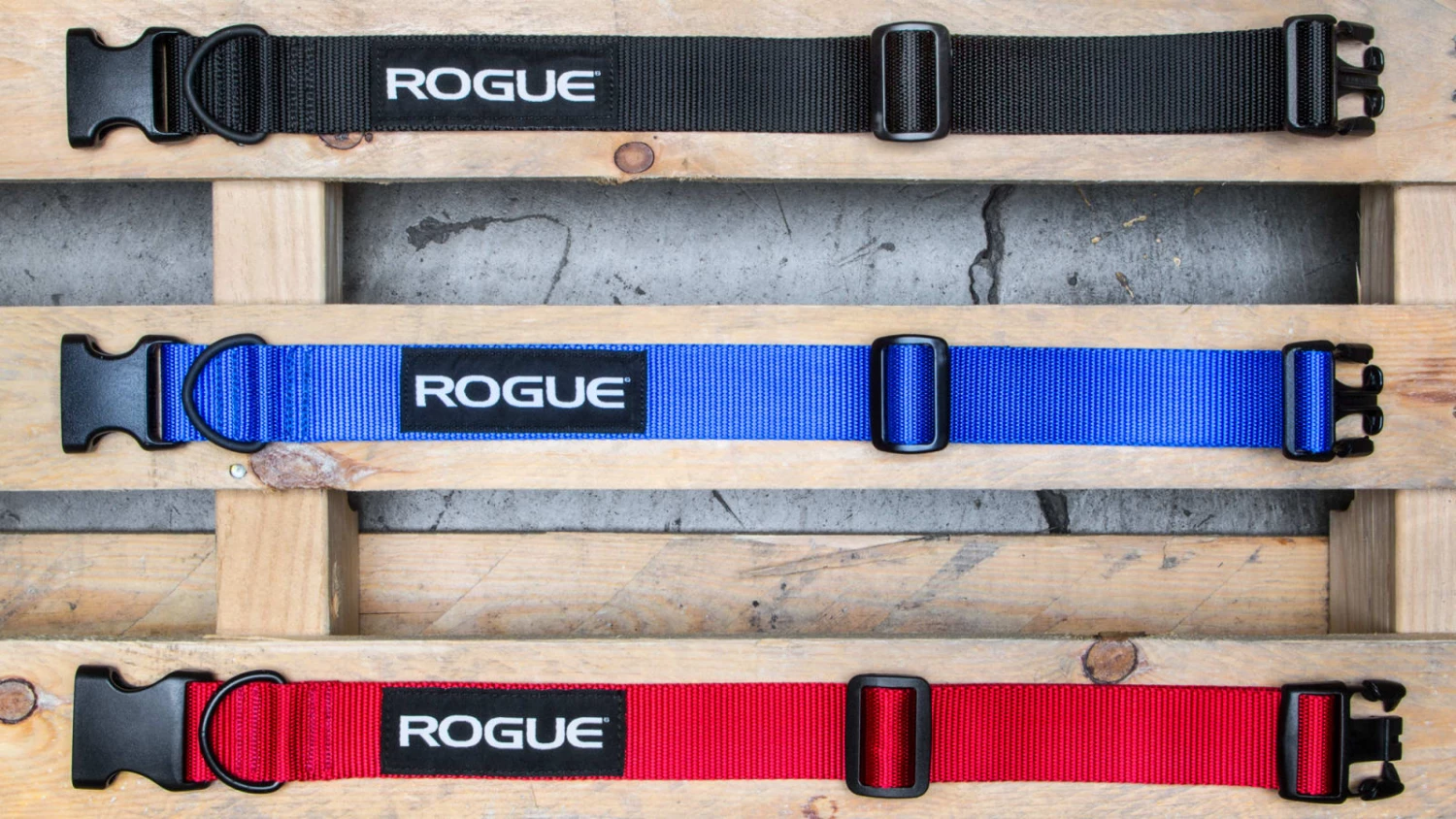 Flash Sale π Rogue Nylon πΆ Dog Collar π₯° 4 Flash Sale π Rogue Nylon πΆ Dog Collar π₯° - Image 2