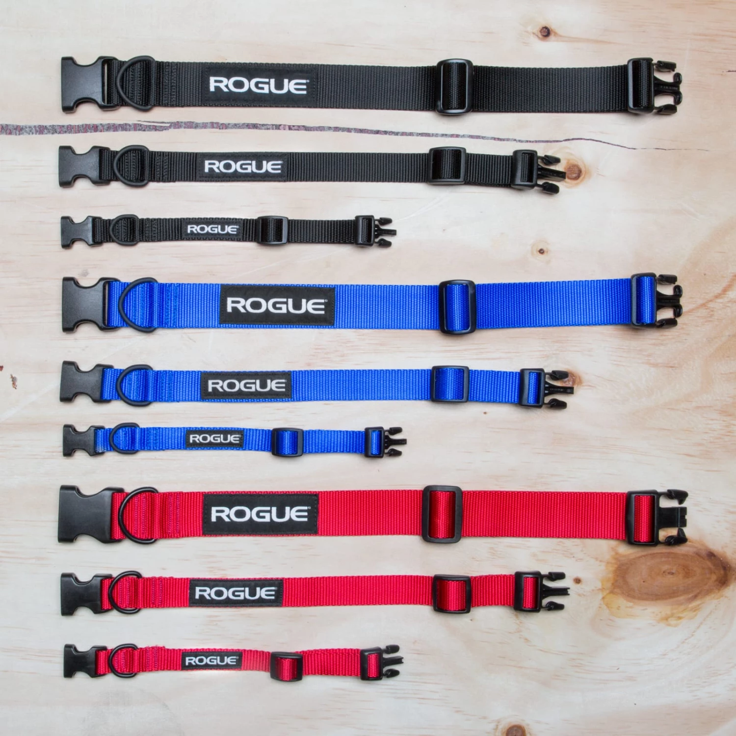Flash Sale π Rogue Nylon πΆ Dog Collar π₯° 5 Flash Sale π Rogue Nylon πΆ Dog Collar π₯° - Image 3