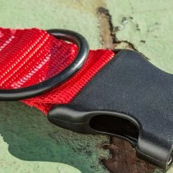 Flash Sale π Rogue Nylon πΆ Dog Collar π₯° 10 Flash Sale π Rogue Nylon πΆ Dog Collar π₯° -Rogue Gear & Accessories Shop RA098 web 3 otpzkw