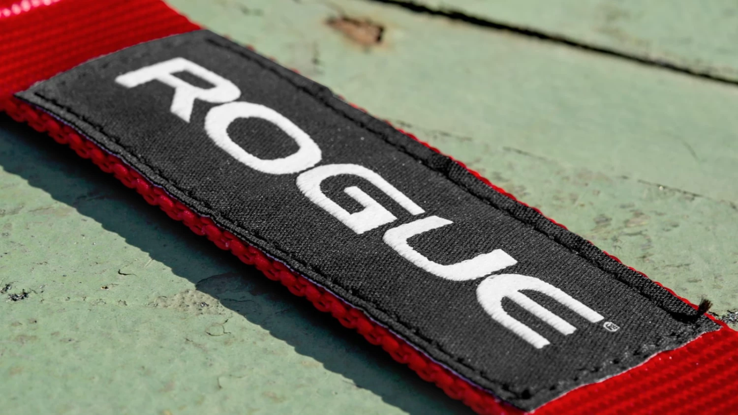 Flash Sale π Rogue Nylon πΆ Dog Collar π₯° 7 Flash Sale π Rogue Nylon πΆ Dog Collar π₯° - Image 5