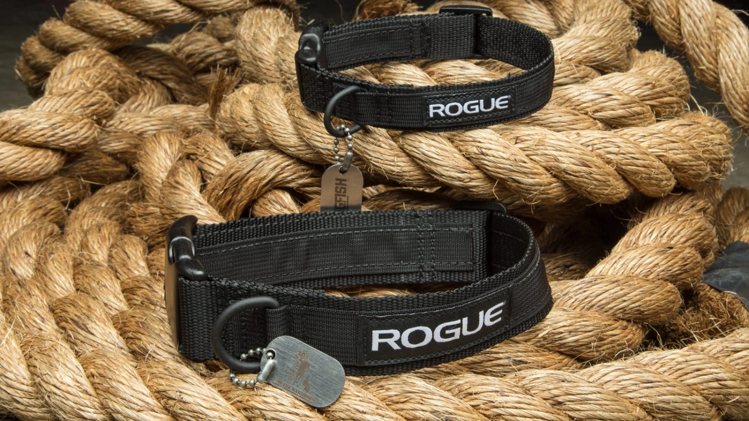 Cheap ๐ Rogue ๐ Dog Collar MIL Edition โ๏ธ 3 Cheap ๐ Rogue ๐ Dog Collar MIL Edition โ๏ธ