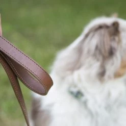 Promo ⌛ Rogue Leather 🐕 Dog Leash 💯 -Rogue Gear & Accessories Shop WL0016 WEB3 fz7akh