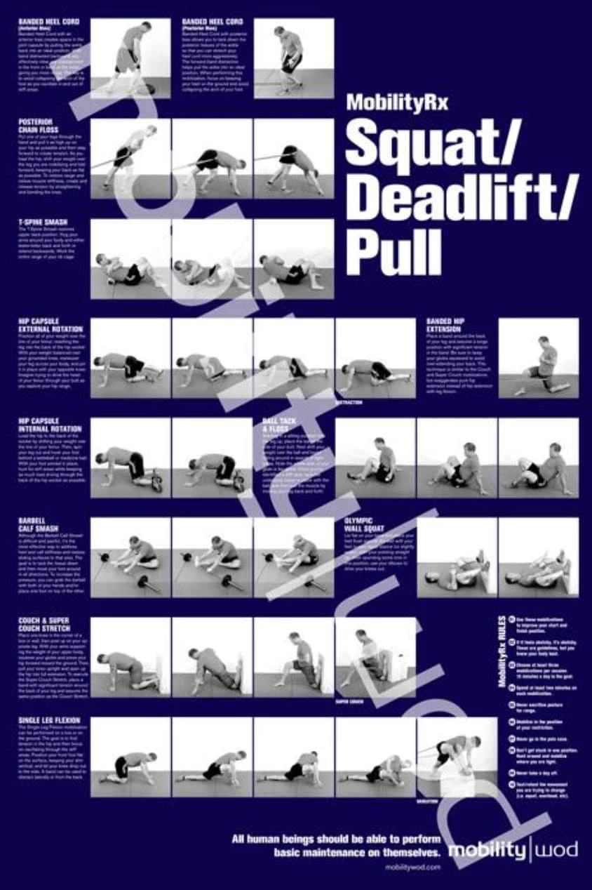 New 👏 MobilityWOD Positioning Posters 🔥 4 New 👏 MobilityWOD Positioning Posters 🔥 - Image 2